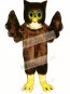 Cute Wise Owl Mascot Costume
