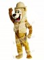 Cute Roary Lion Mascot Costume