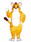 Cute Lion Cub Mascot Costume