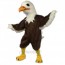 Regal Eagle Mascot Costume
