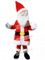 Father Christmas Santa Claus Xmas Mascot Costume 