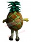Pineapple mascot costume