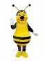 Smiling Bee Mascot Costumes Adult