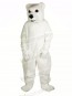High Quality Polar Bear  Mascot Costumes Cartoon