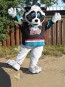 Rocky Racoon Mascot Costume