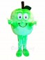 Top Quality Green Apple Mascot Costume 