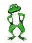 Realistic Green Frog Mascot Costumes Cartoon	