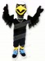 Handsome Strong Eagle Mascot Costumes Cartoon	