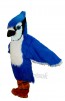 Blue Jay Bird Mascot Costume